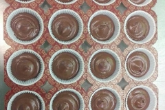 16142281_10154379220129053_3507964879735963763_n