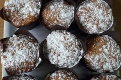 16195807_10154405760084053_5510782704206412925_n