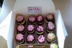 16196008_10154379223089053_8854932712388437294_n