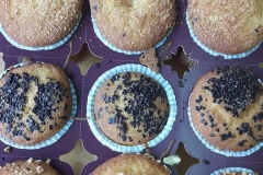 16265957_10154405759769053_5772686588181510082_n