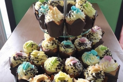 17264199_10154524653299053_8633413783984907084_n