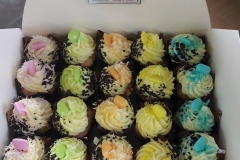 17264783_10154524653289053_7067522149687559562_n