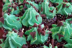 17309879_10154534383264053_1035414843868090726_n