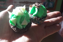 17342918_10154534383159053_5911755834534396209_n