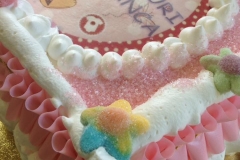 14095778_10153965633199053_3398647887516201283_n