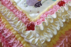 14203345_10153993606859053_3675713131308642926_n