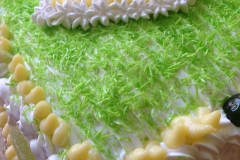 14225448_10153993606764053_8681717184346452409_n