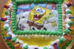 14633097_10154128594294053_116565712703868738_n