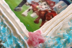 14670751_10154100021904053_4705423840491143352_n