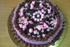 15822919_10154320394884053_8738378552780220044_n